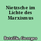 Nietzsche im Lichte des Marxismus