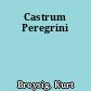 Castrum Peregrini