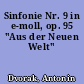 Sinfonie Nr. 9 in e-moll, op. 95 "Aus der Neuen Welt"