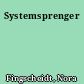 Systemsprenger