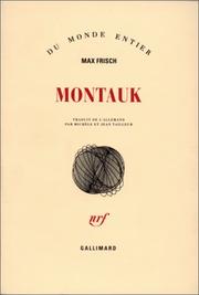 Montauk : un récit