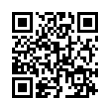 QR Code (код быстрого отклика)