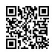 QR Code (код быстрого отклика)