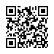 QR Code (код быстрого отклика)