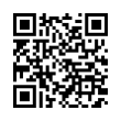 QR Code (код быстрого отклика)