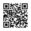 QR Code (код быстрого отклика)