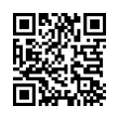 QR Code (код быстрого отклика)