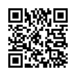 QR Code (код быстрого отклика)