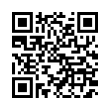 QR Code (код быстрого отклика)