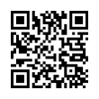 QR Code (код быстрого отклика)