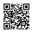 QR Code (код быстрого отклика)