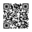 QR Code (код быстрого отклика)