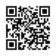 QR Code (код быстрого отклика)