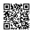 QR Code (код быстрого отклика)