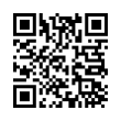 QR Code (код быстрого отклика)