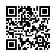 QR Code (код быстрого отклика)