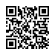 QR Code (код быстрого отклика)