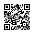 QR Code (код быстрого отклика)