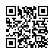 QR Code (код быстрого отклика)