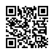 QR Code (код быстрого отклика)