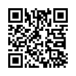 QR Code (код быстрого отклика)