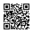 QR Code (код быстрого отклика)