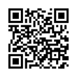 QR Code (код быстрого отклика)