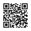 QR Code (код быстрого отклика)