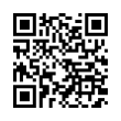 QR Code (код быстрого отклика)