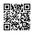 QR Code (код быстрого отклика)