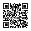 QR Code (код быстрого отклика)