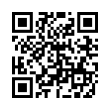 QR Code (код быстрого отклика)