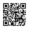 QR Code (код быстрого отклика)