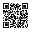 QR Code (код быстрого отклика)