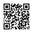 QR Code (код быстрого отклика)