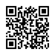 QR Code (код быстрого отклика)