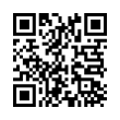 QR Code (код быстрого отклика)