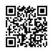 QR Code (код быстрого отклика)