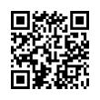 QR Code (код быстрого отклика)