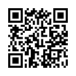 QR Code (код быстрого отклика)