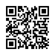 QR Code (код быстрого отклика)