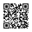 QR Code (код быстрого отклика)