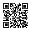 QR Code (код быстрого отклика)