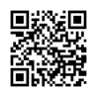 QR Code (код быстрого отклика)