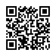 QR Code (код быстрого отклика)