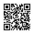 QR Code (код быстрого отклика)
