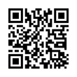 QR Code (код быстрого отклика)