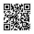 QR Code (код быстрого отклика)