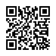 QR Code (код быстрого отклика)