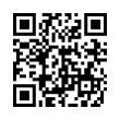 QR Code (код быстрого отклика)